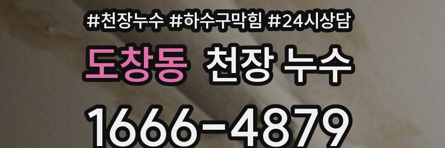 도창동 천장 누수