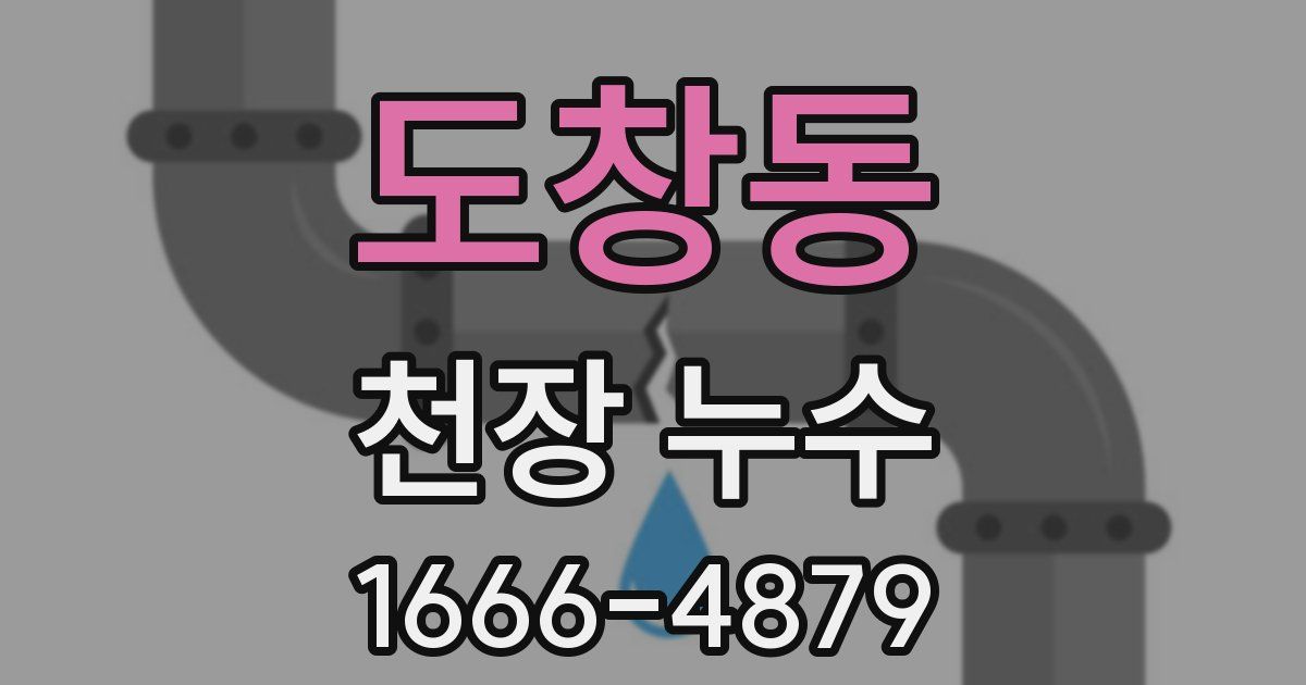 도창동 천장 누수