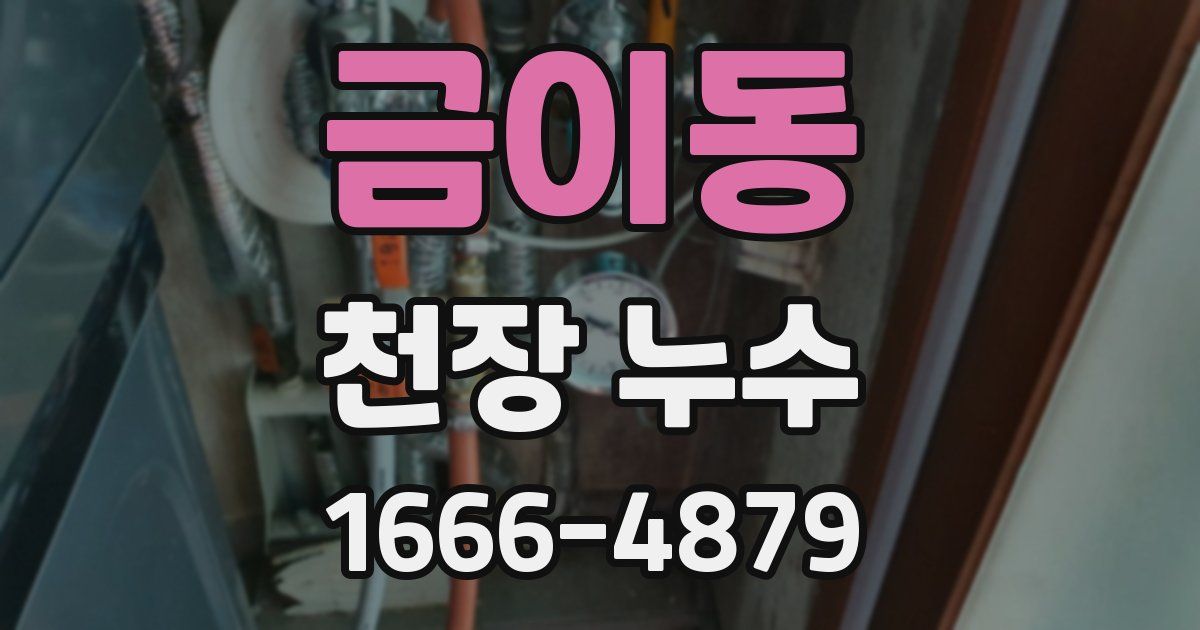 금이동 천장 누수