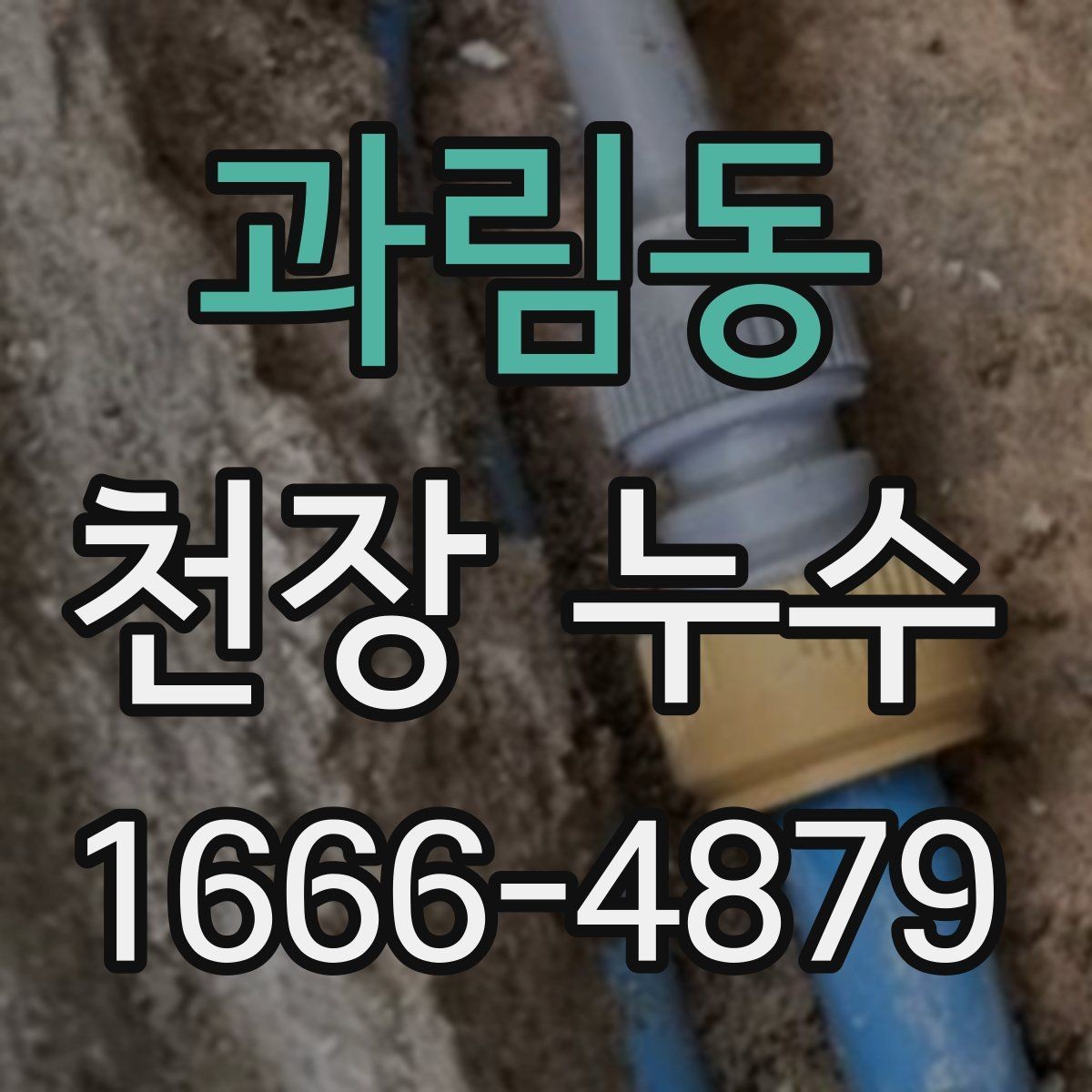 과림동 천장 누수 벽과 천장 경계로 번지는 얼룩을 주의하세요