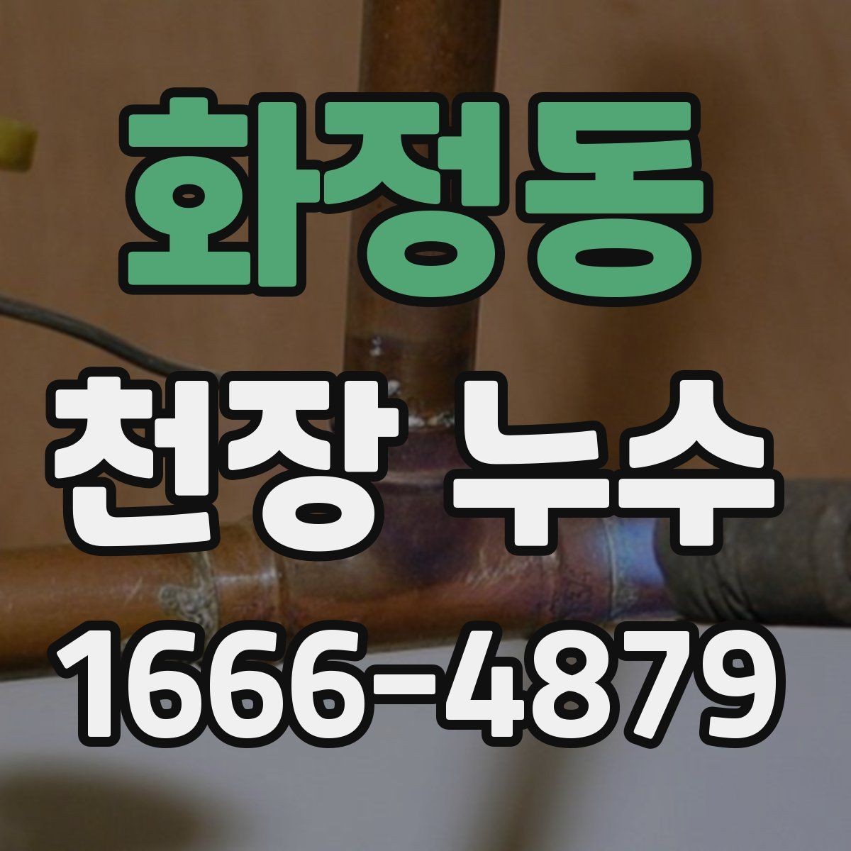화정동 천장 누수 곰팡이 번지기 전 점검