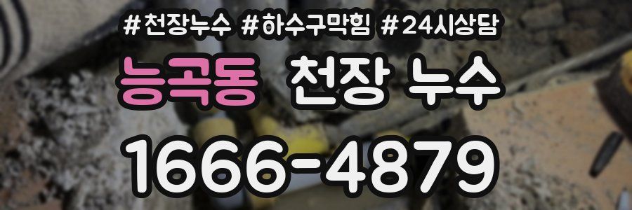 능곡동 천장 누수