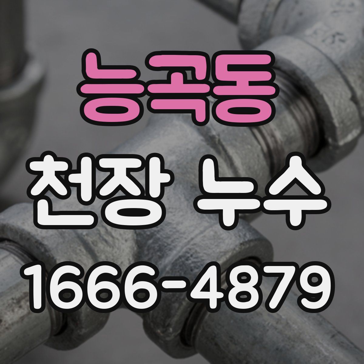 능곡동 천장 누수