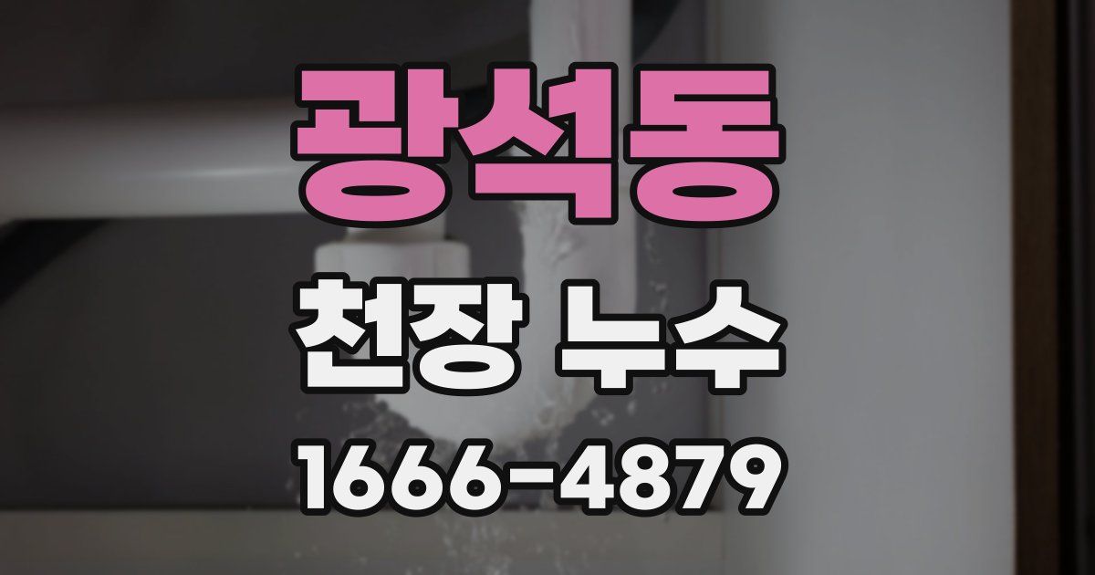 광석동 천장 누수