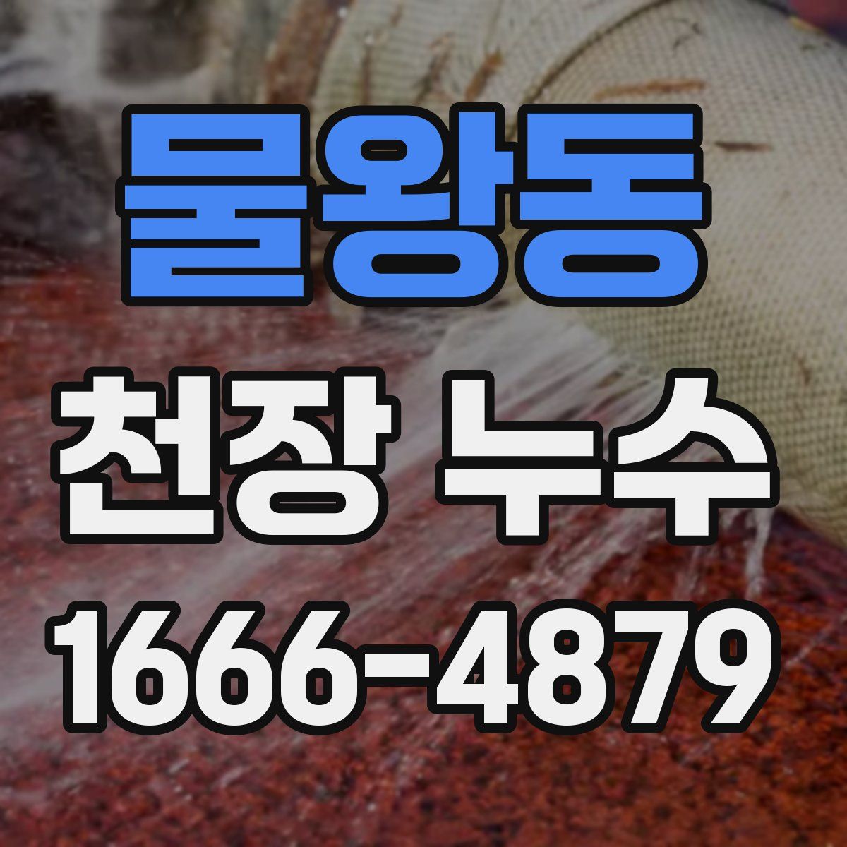 물왕동 천장 누수