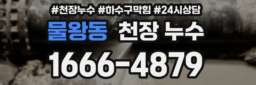 물왕동 천장 누수