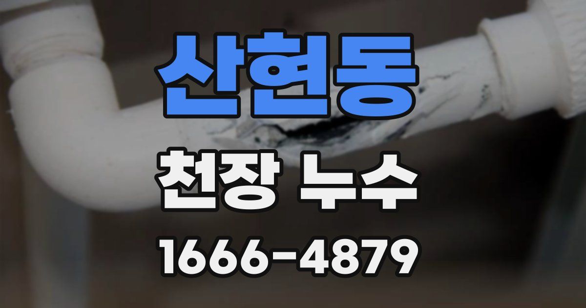 산현동 천장 누수