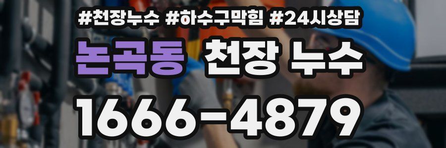 논곡동 천장 누수