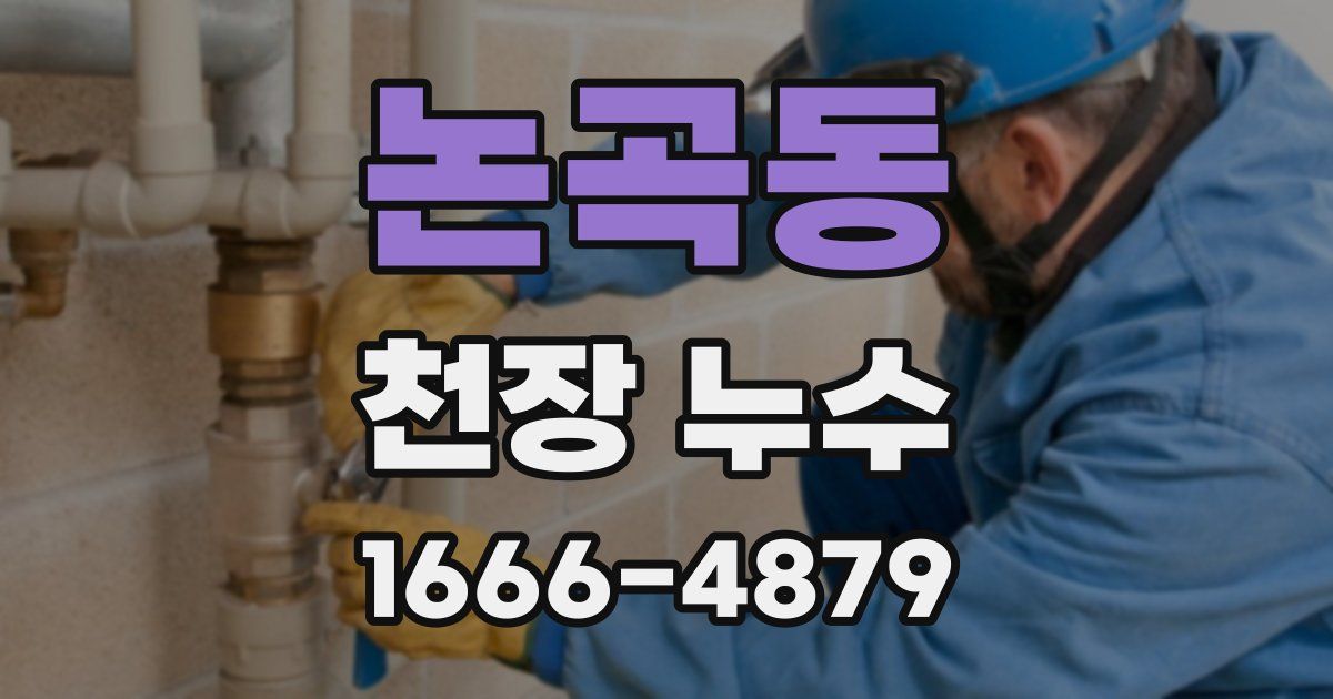 논곡동 천장 누수