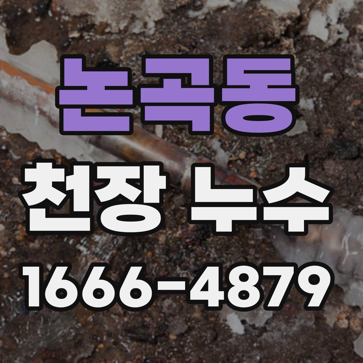 논곡동 천장 누수