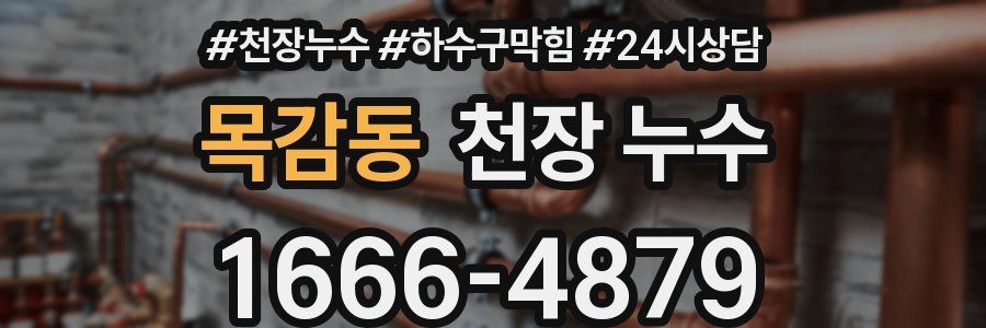 목감동 천장 누수