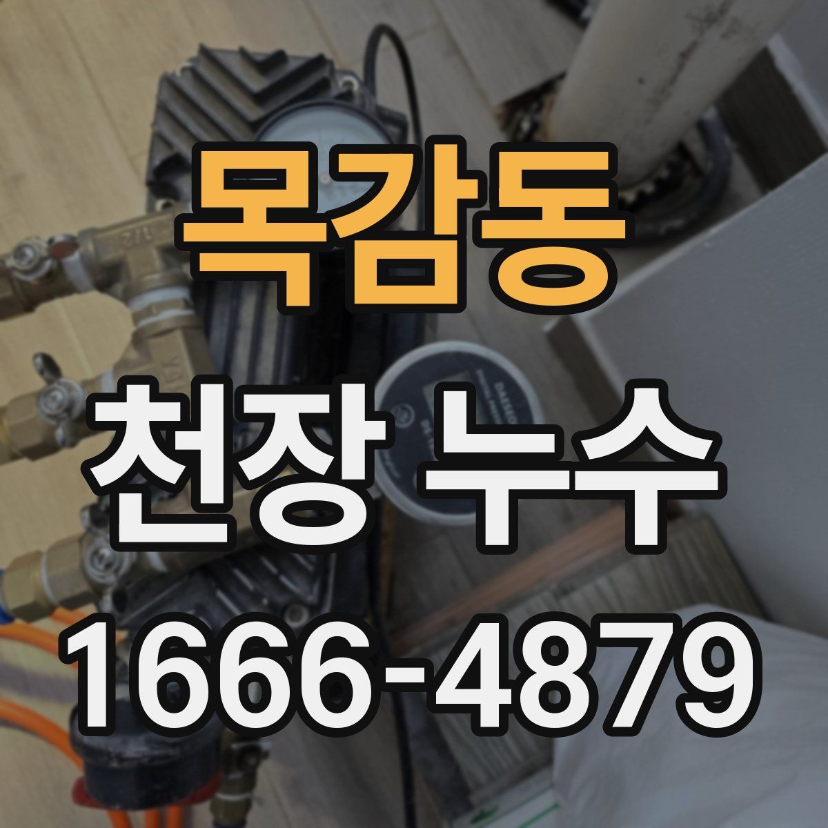 목감동 천장 누수