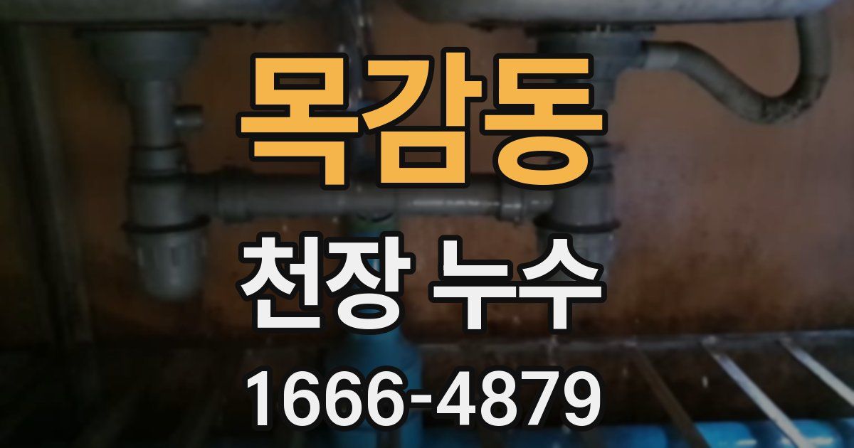 목감동 천장 누수