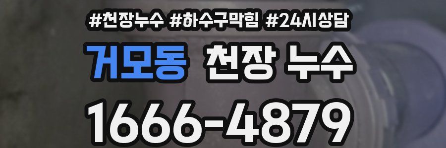 거모동 천장 누수