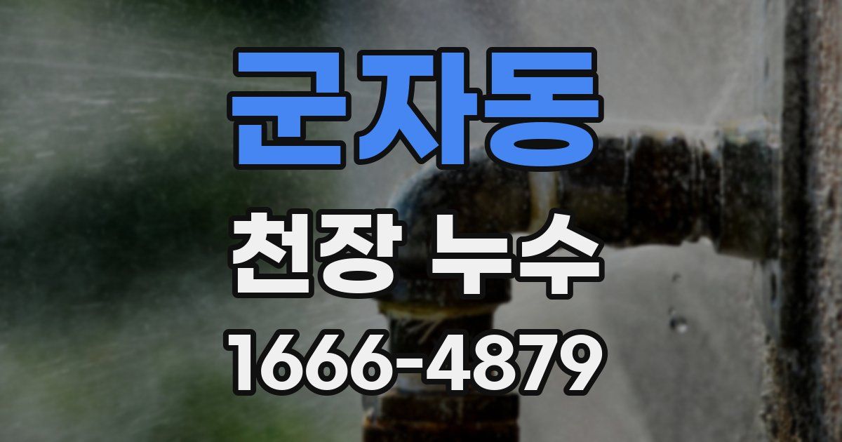 군자동 천장 누수