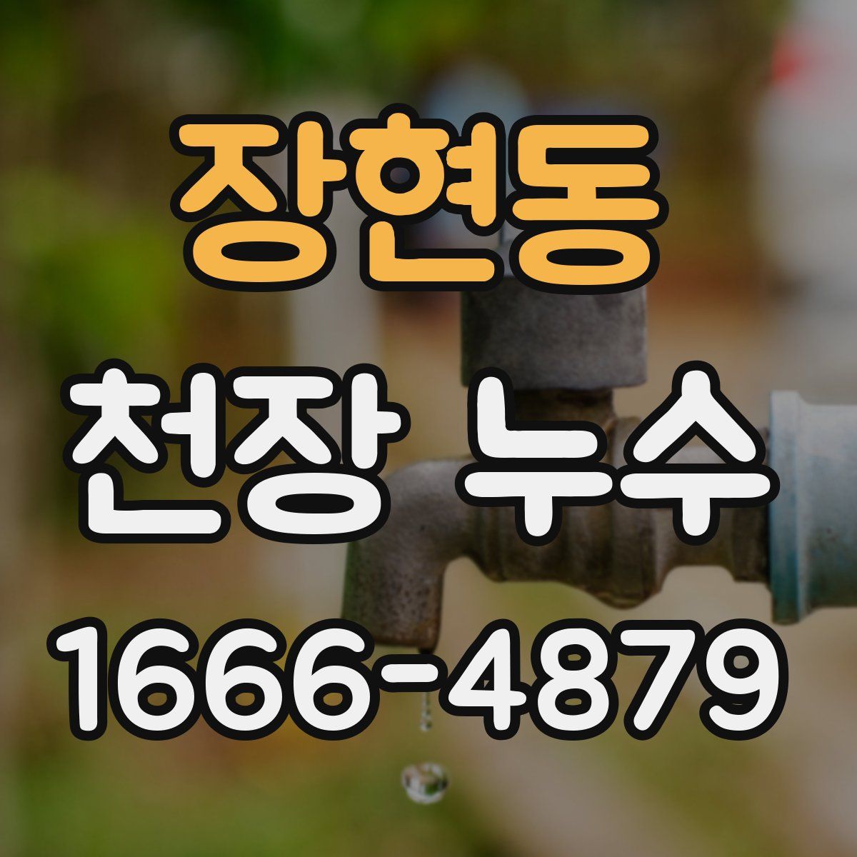 장현동 천장 누수