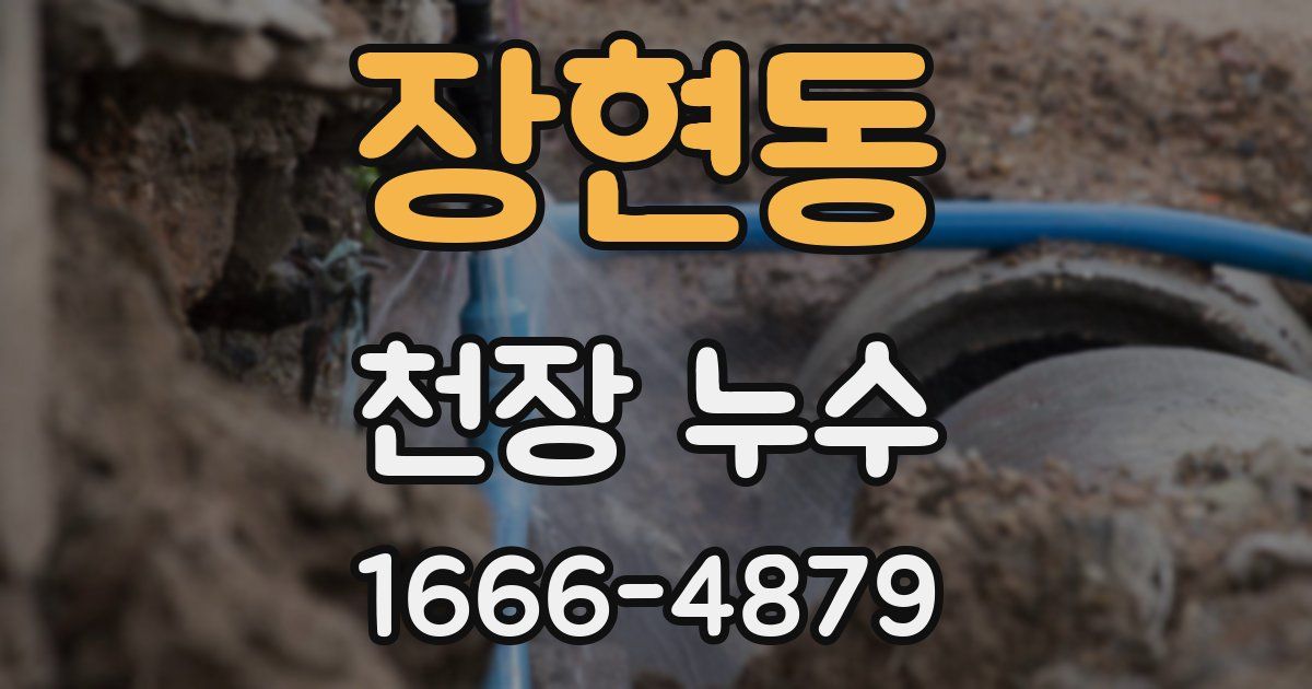 장현동 천장 누수