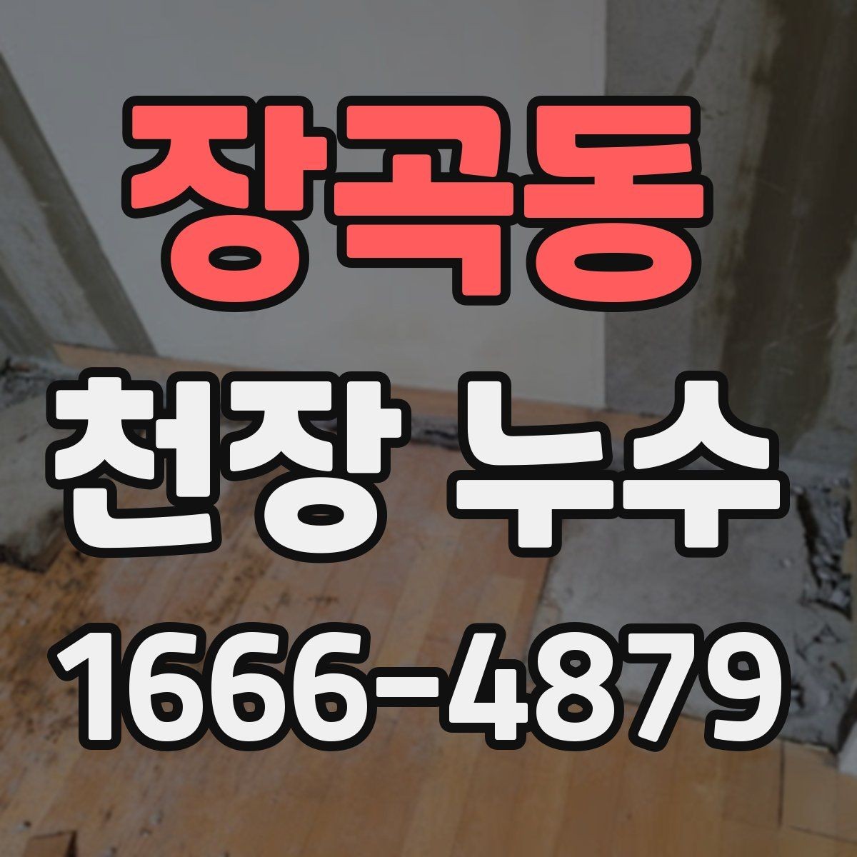 장곡동 천장 누수 주방 천장 누수일 때 체크 포인트