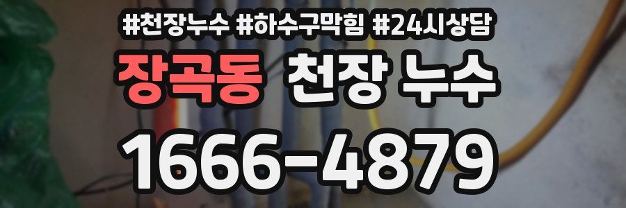 장곡동 천장 누수