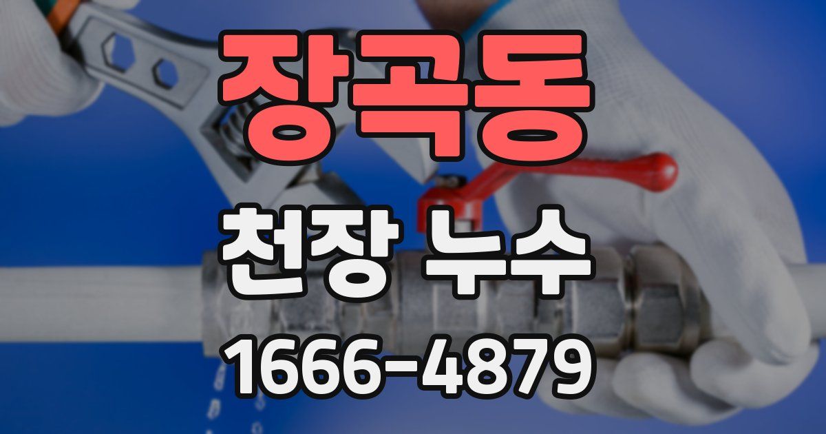 장곡동 천장 누수