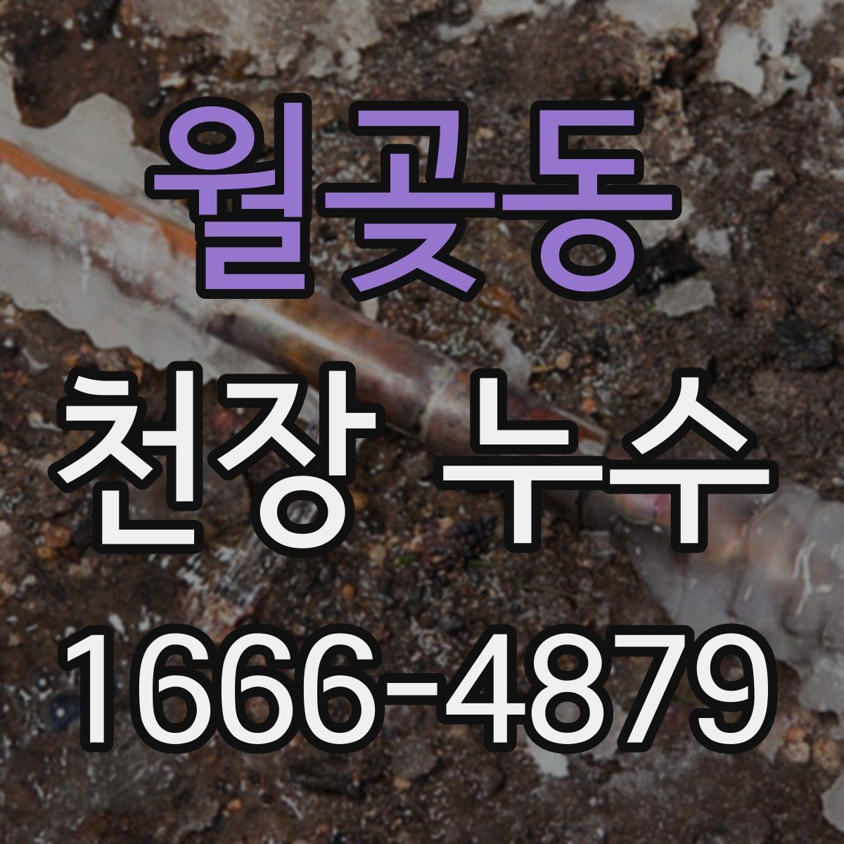월곶동 천장 누수 누수 원인 찾기 전에 하면 안 되는 행동