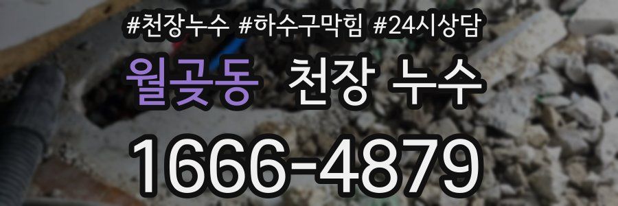 월곶동 천장 누수