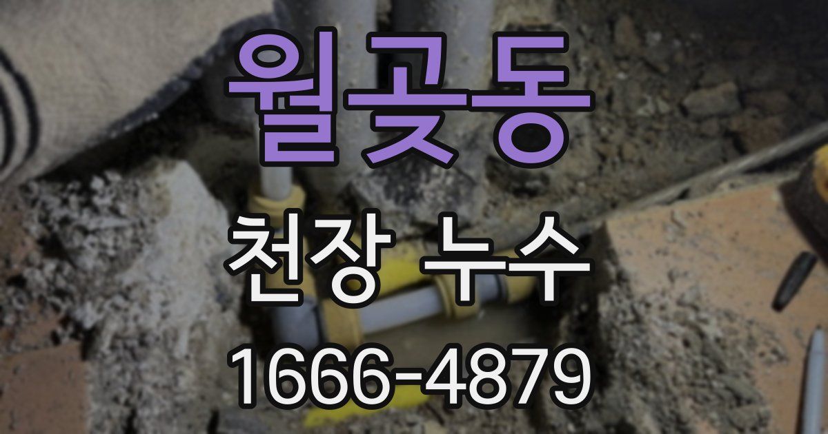 월곶동 천장 누수