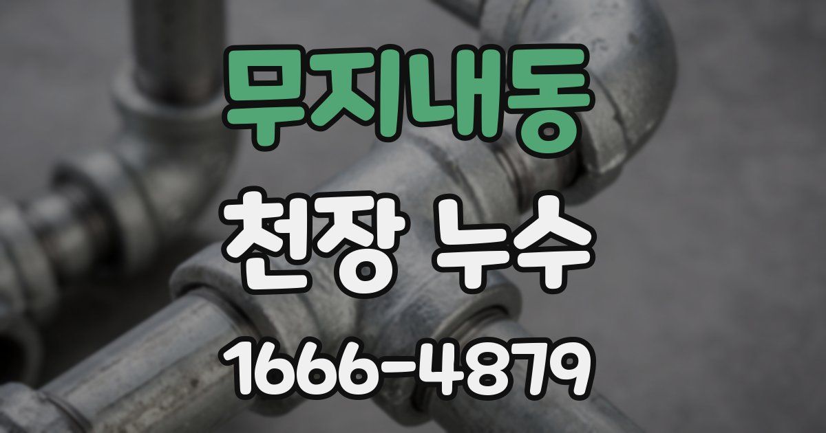 무지내동 천장 누수