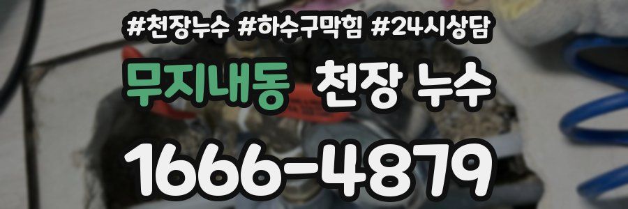 무지내동 천장 누수