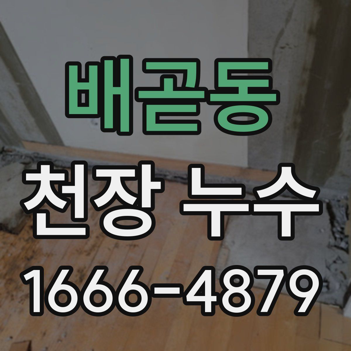 배곧동 천장 누수