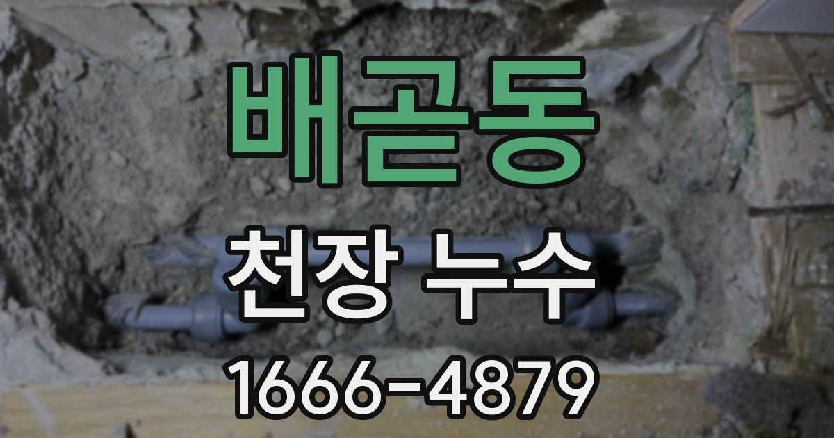 배곧동 천장 누수