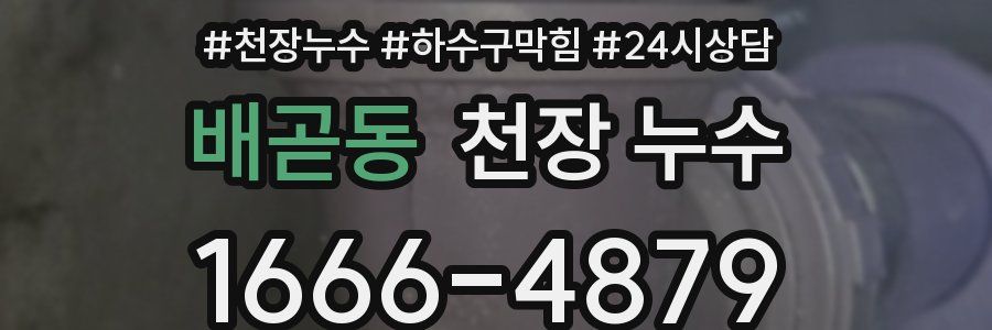 배곧동 천장 누수