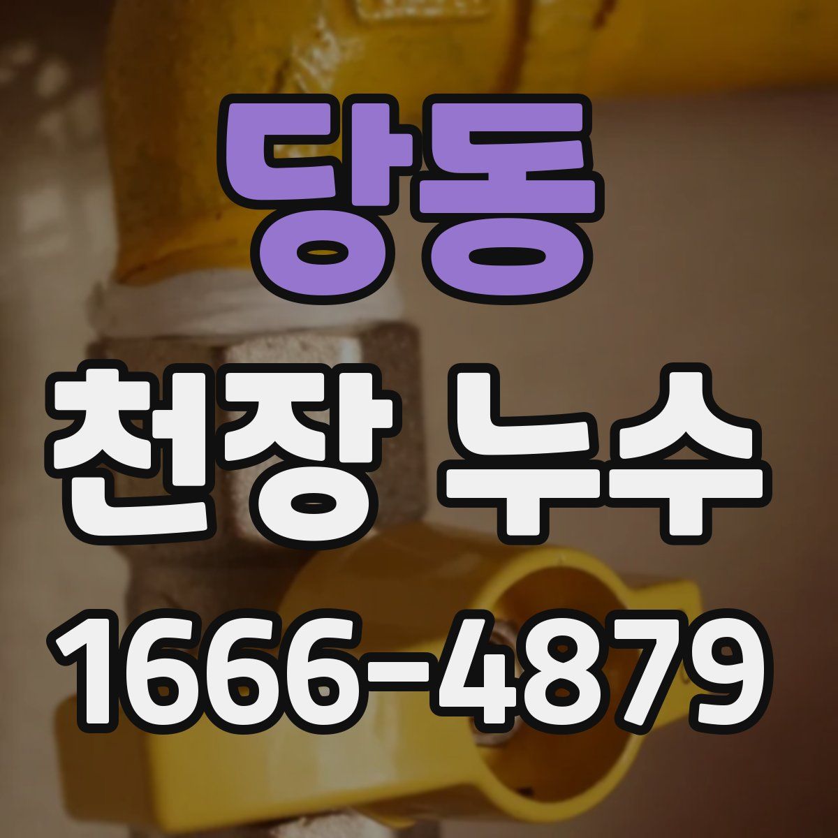 당동 천장 누수