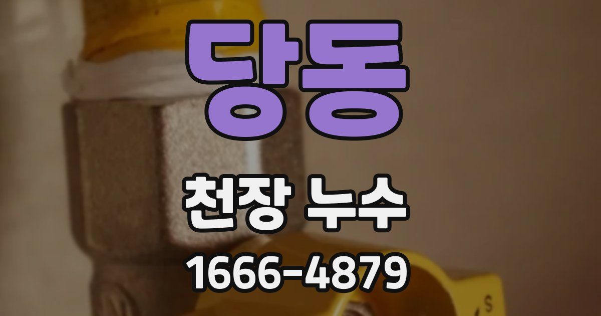 당동 천장 누수