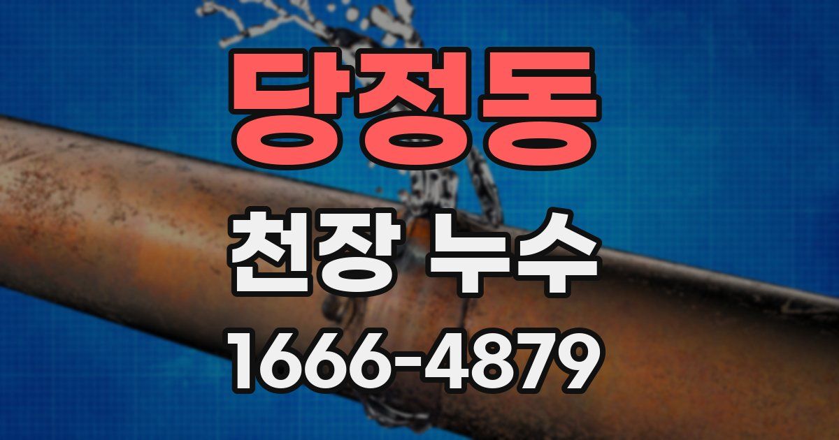 당정동 천장 누수