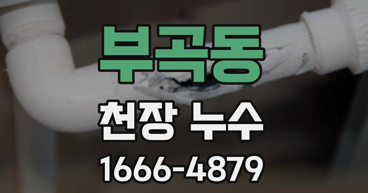 부곡동 천장 누수