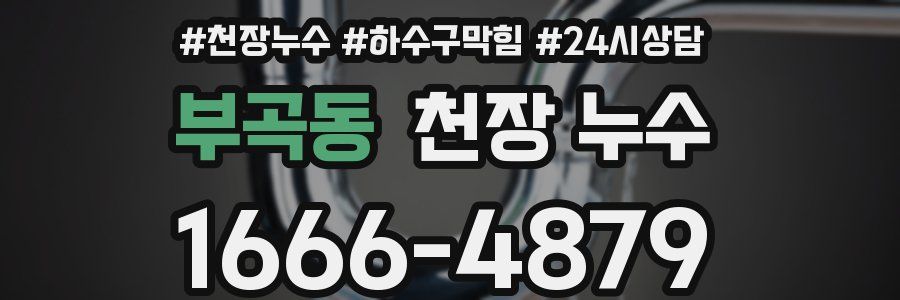 부곡동 천장 누수