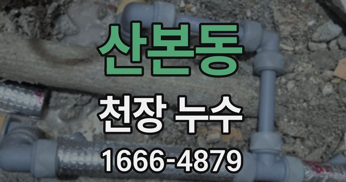 산본동 천장 누수