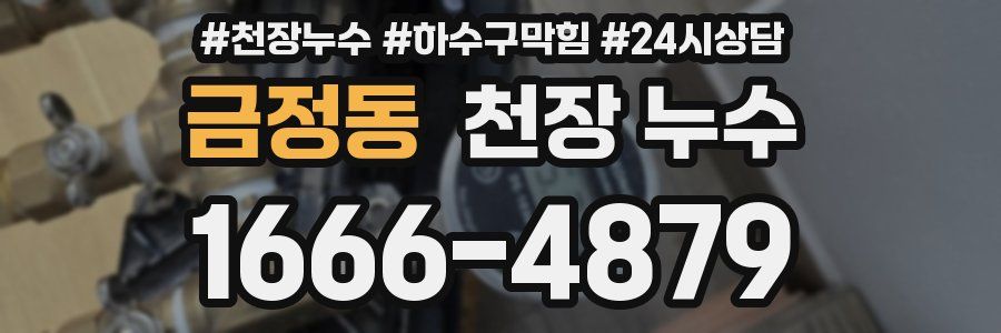 금정동 천장 누수