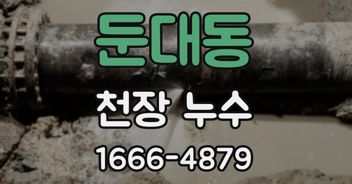 둔대동 천장 누수
