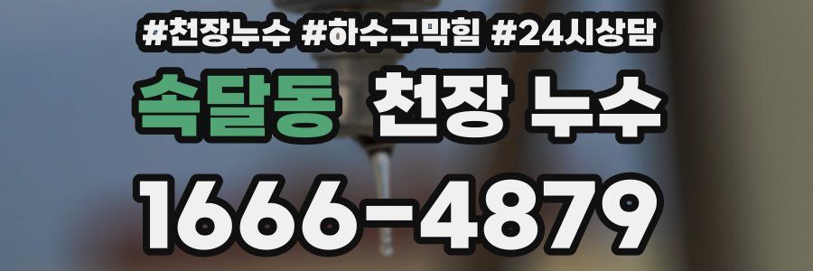 속달동 천장 누수