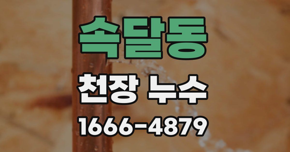 속달동 천장 누수