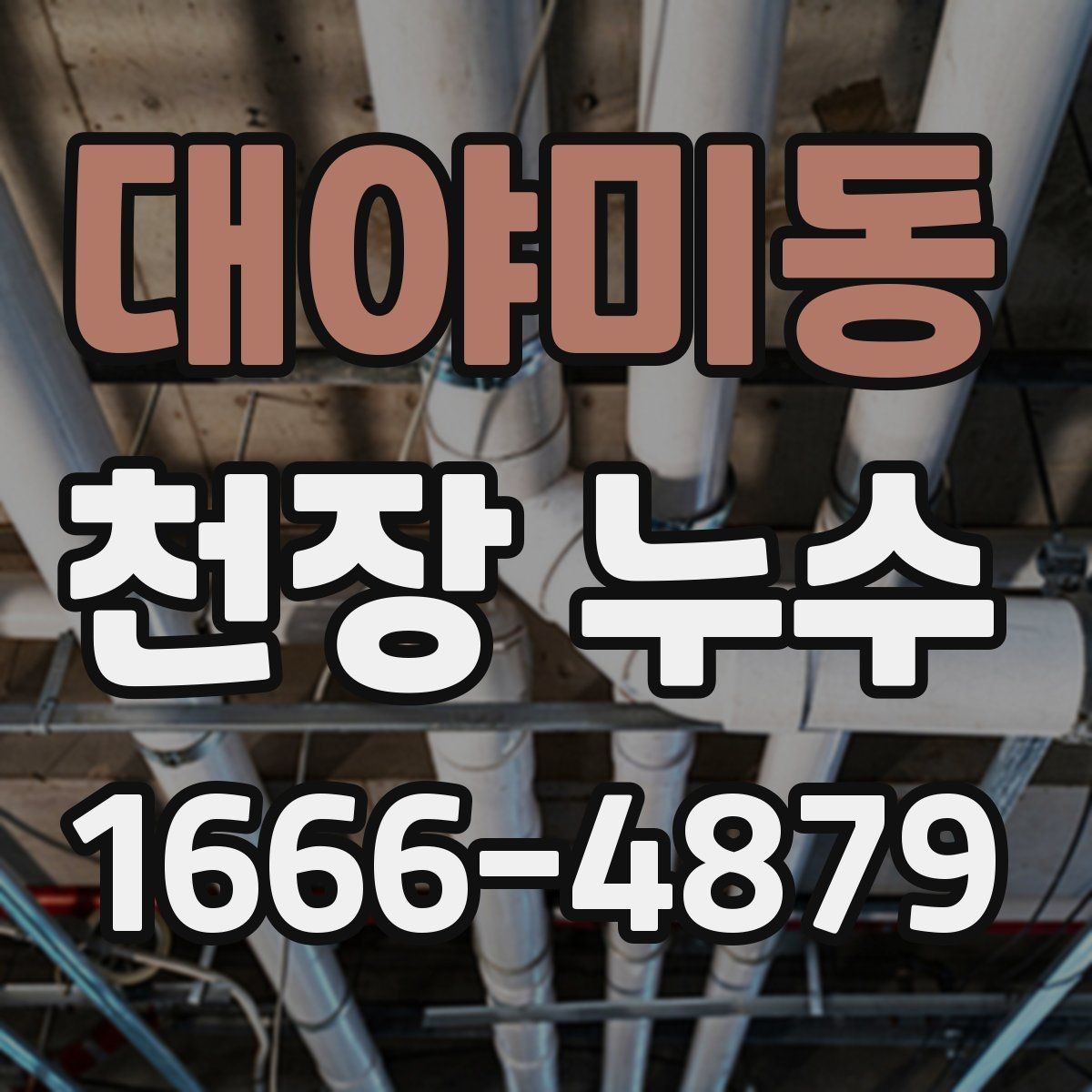 대야미동 천장 누수 천장 위에서 뚝뚝 소리가 날 때 확인할 것