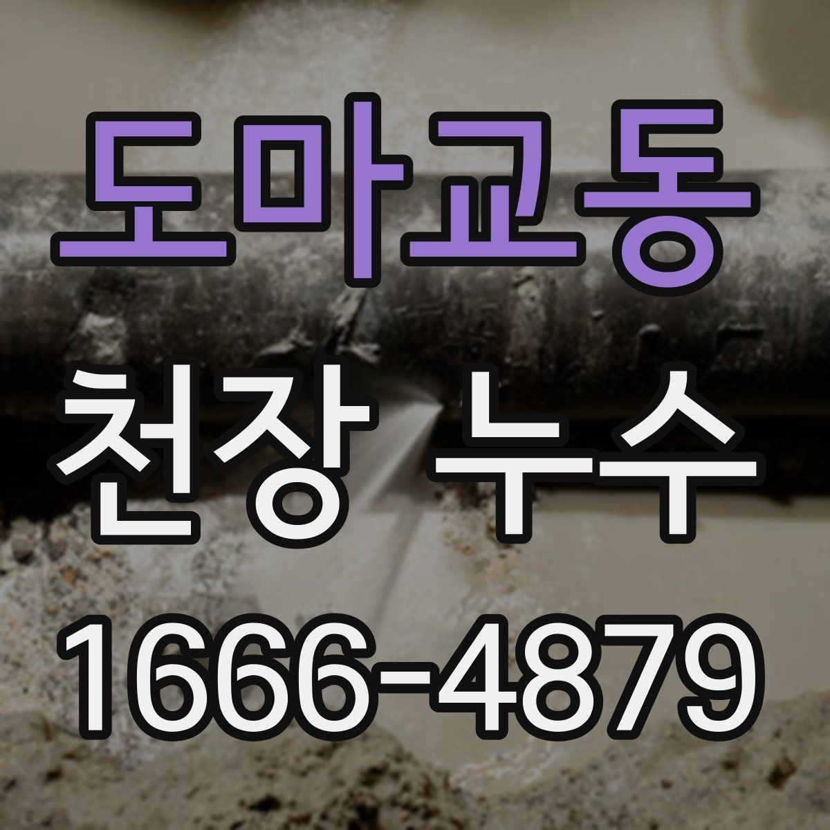 도마교동 천장 누수 침대·소파가 젖으면 바로 해야 할 일