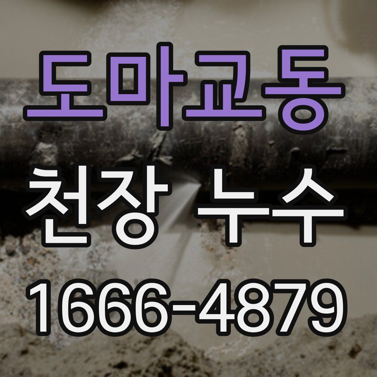 도마교동 천장 누수