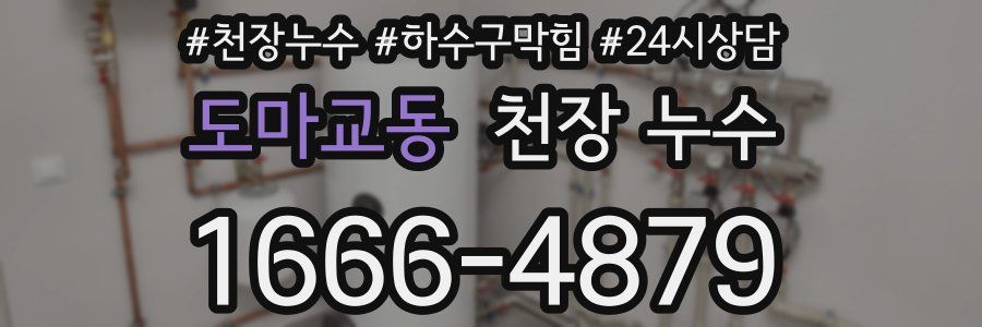 도마교동 천장 누수