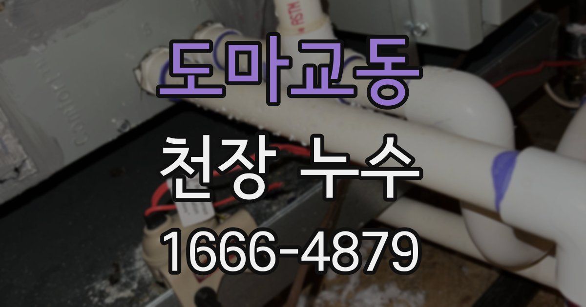 도마교동 천장 누수