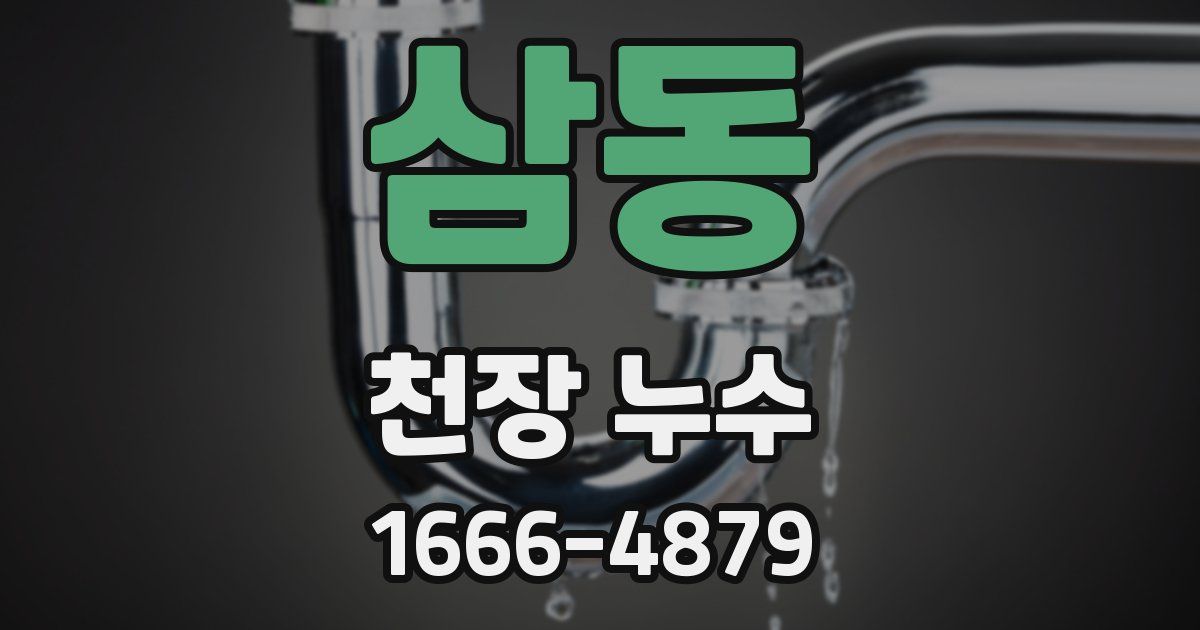 삼동 천장 누수