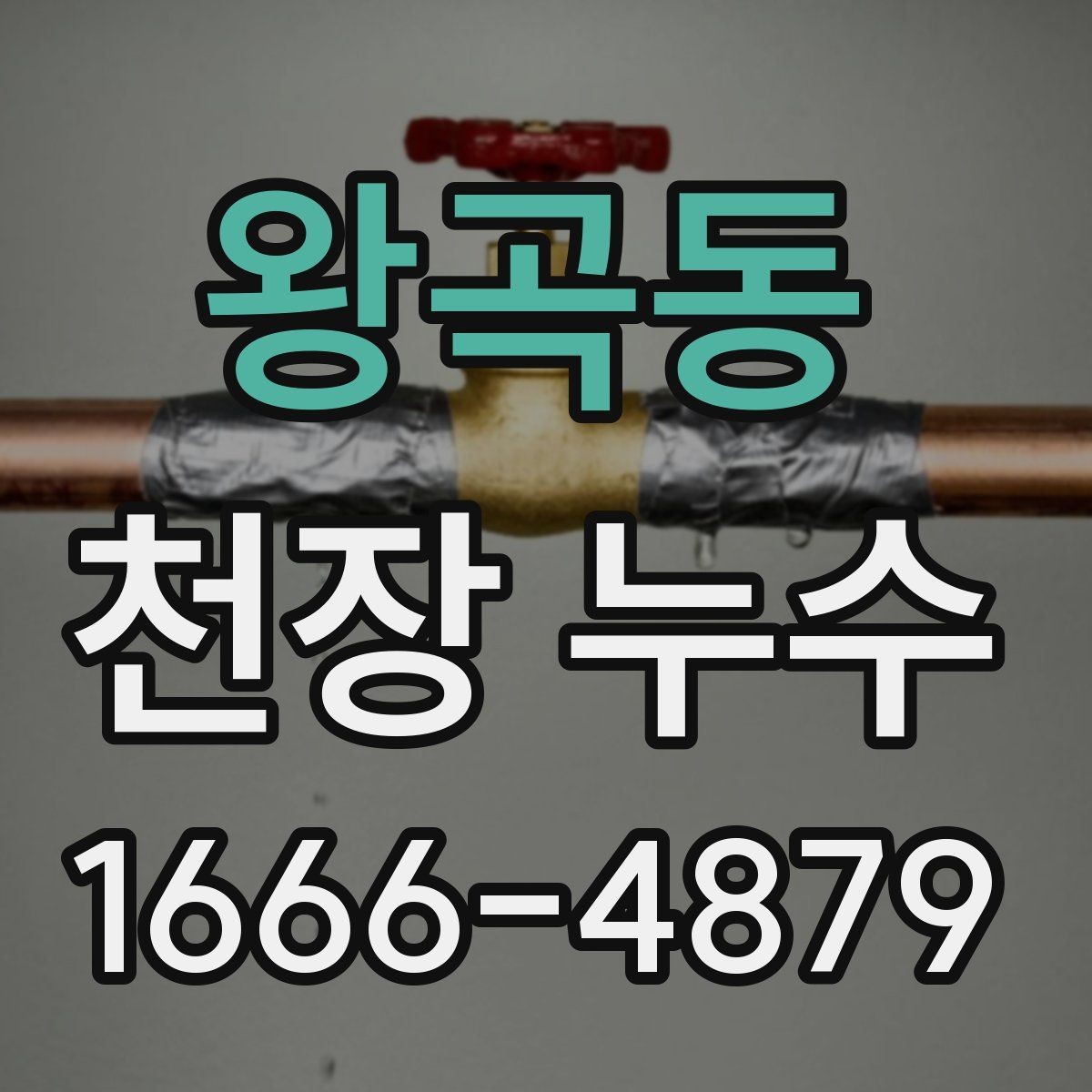 왕곡동 천장 누수 점검구를 열어도 원인이 안 보일 때