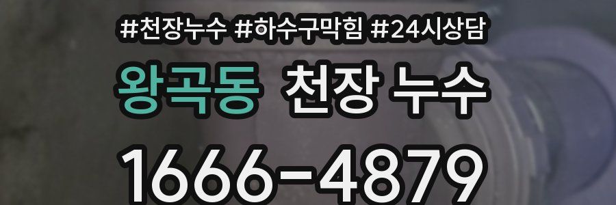 왕곡동 천장 누수